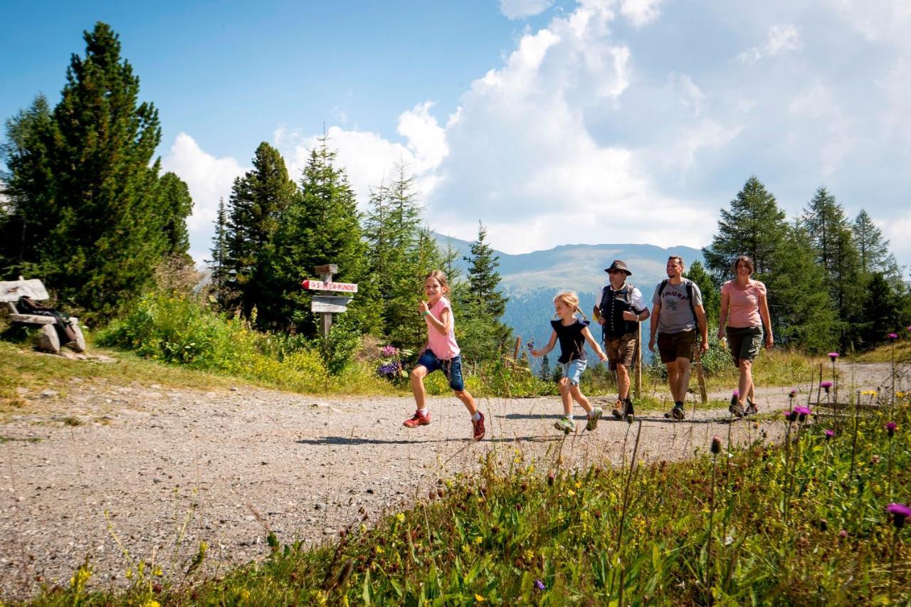 Naturpark Huette Mandl, Biobauernhof & Huettenurlaub Sankt Lambrecht Exterior foto